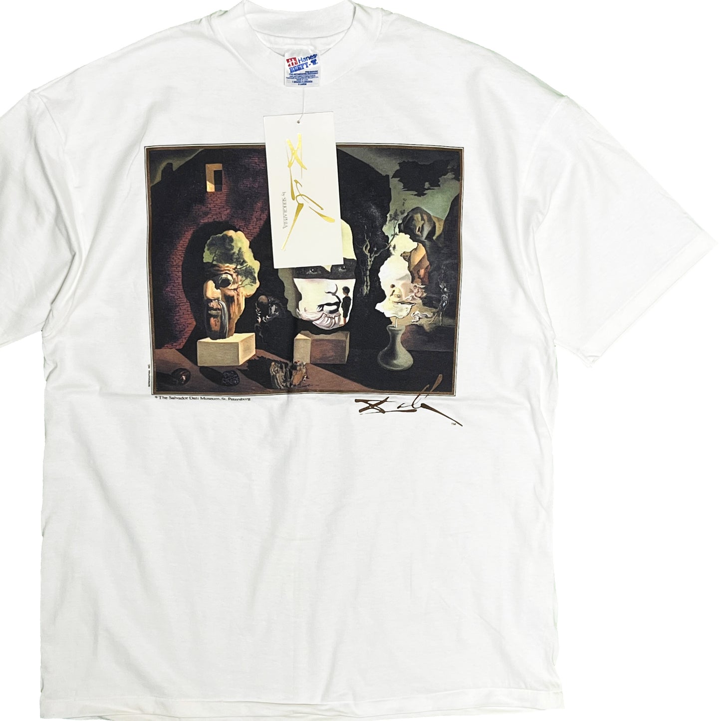 90's Hanes Salvador Dali T Size (XL) Deadstock