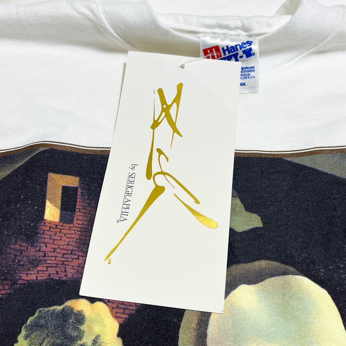 90's Hanes Salvador Dali T Size (XL) Deadstock