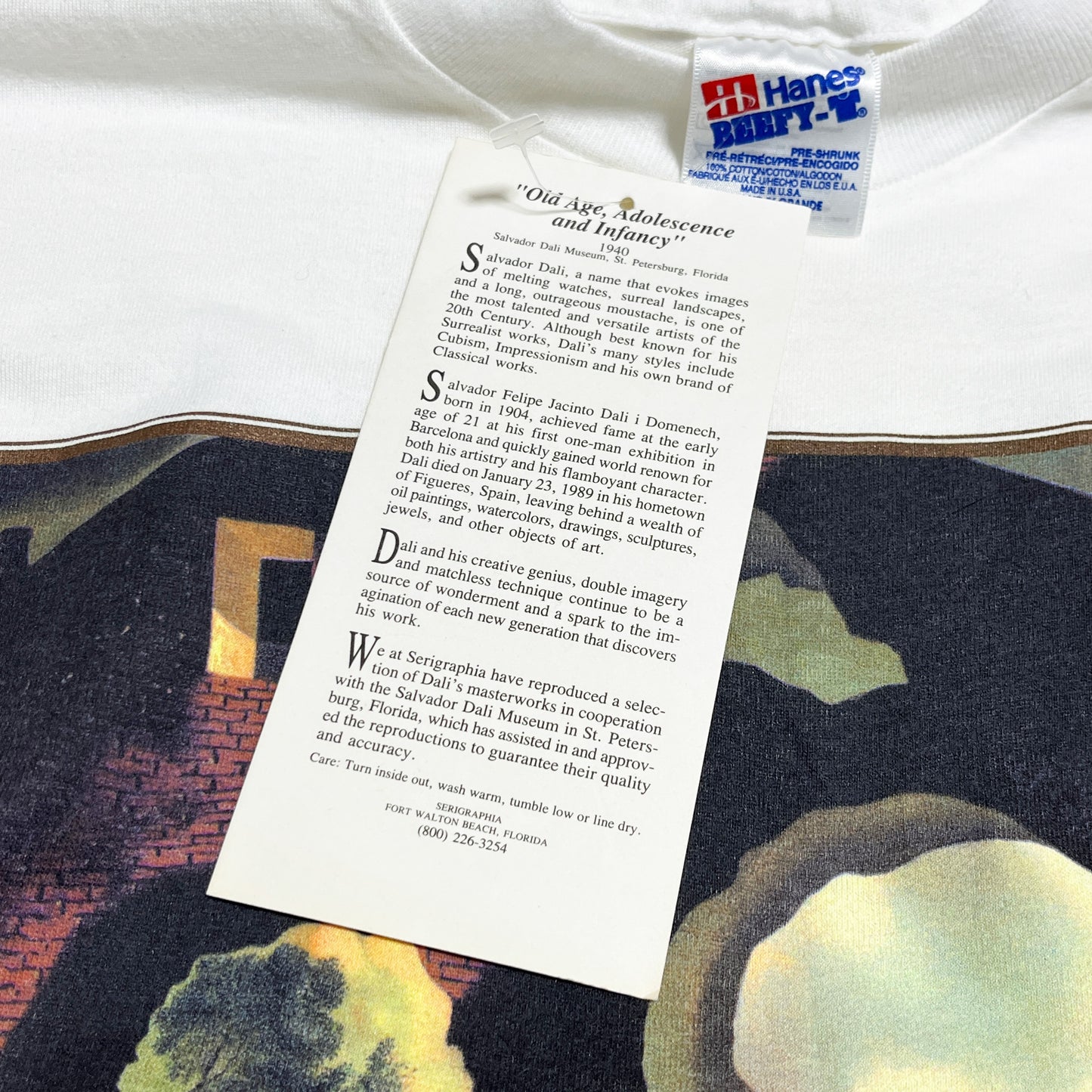 90's Hanes Salvador Dali T Size (XL) Deadstock