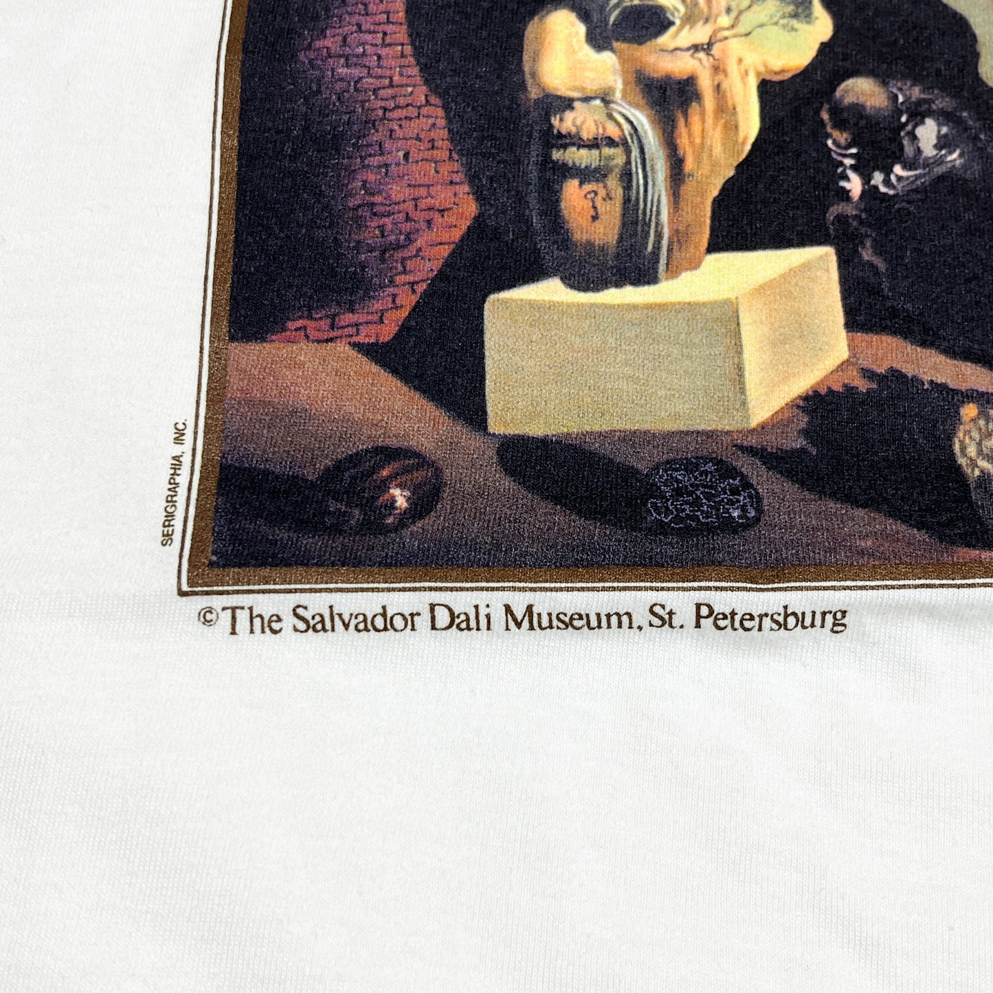 90's Hanes Salvador Dali T Size (XL) Deadstock