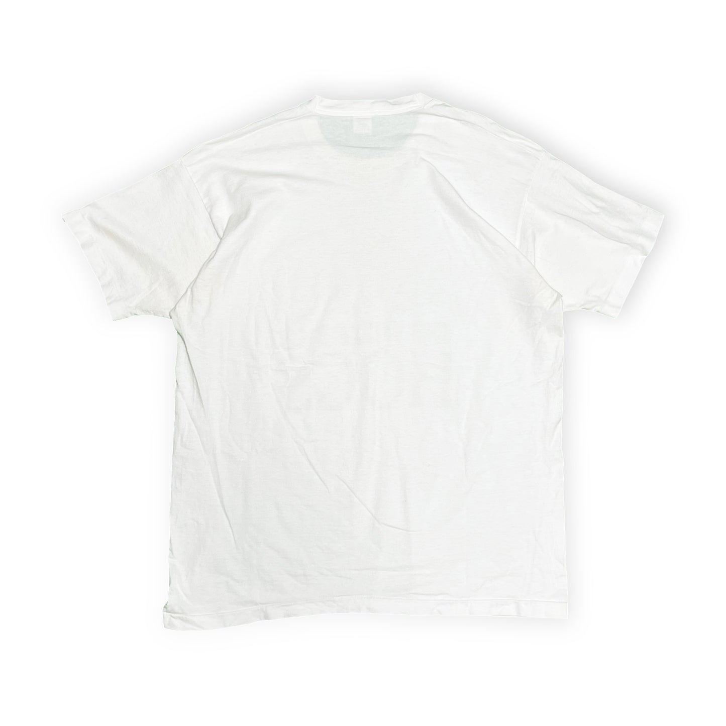 90's FRUIT OF THE LOOM "THE WIZARD OF HOGS" パロディー T Size (XXL)