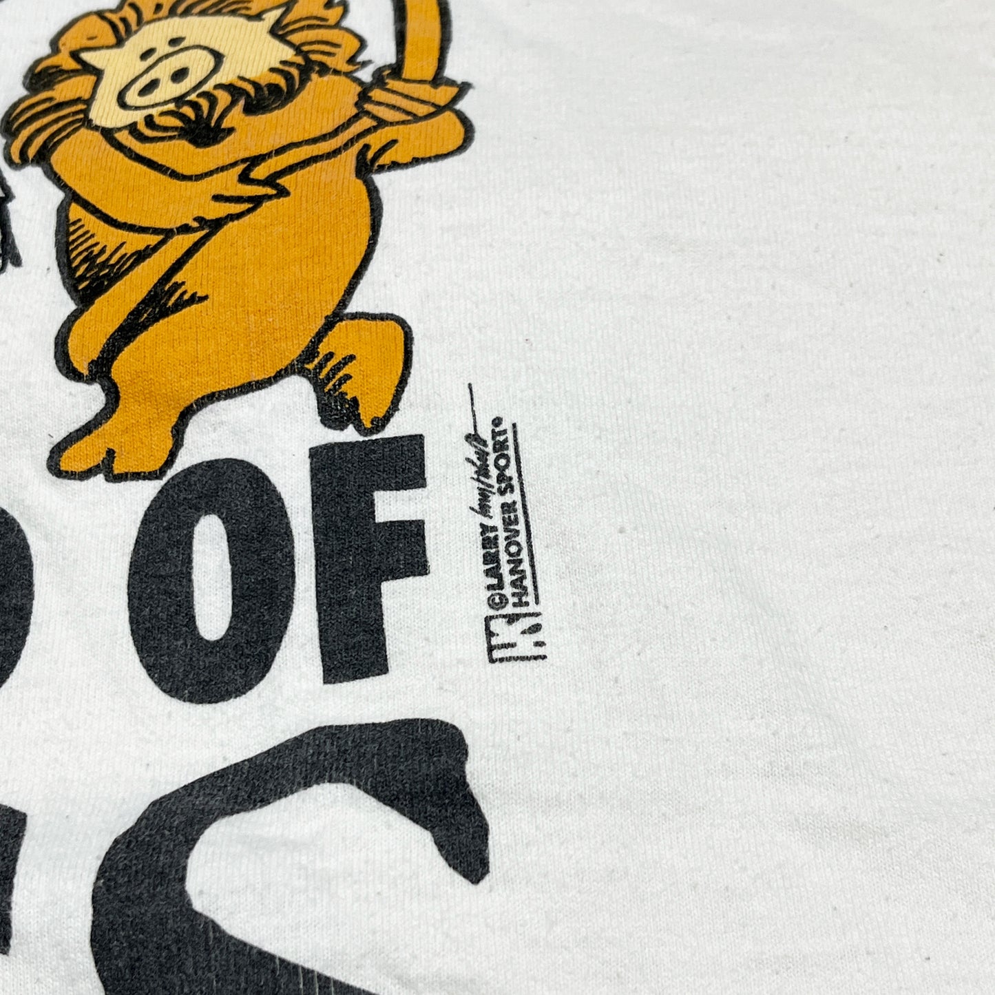 90's FRUIT OF THE LOOM "THE WIZARD OF HOGS" パロディー T Size (XXL)