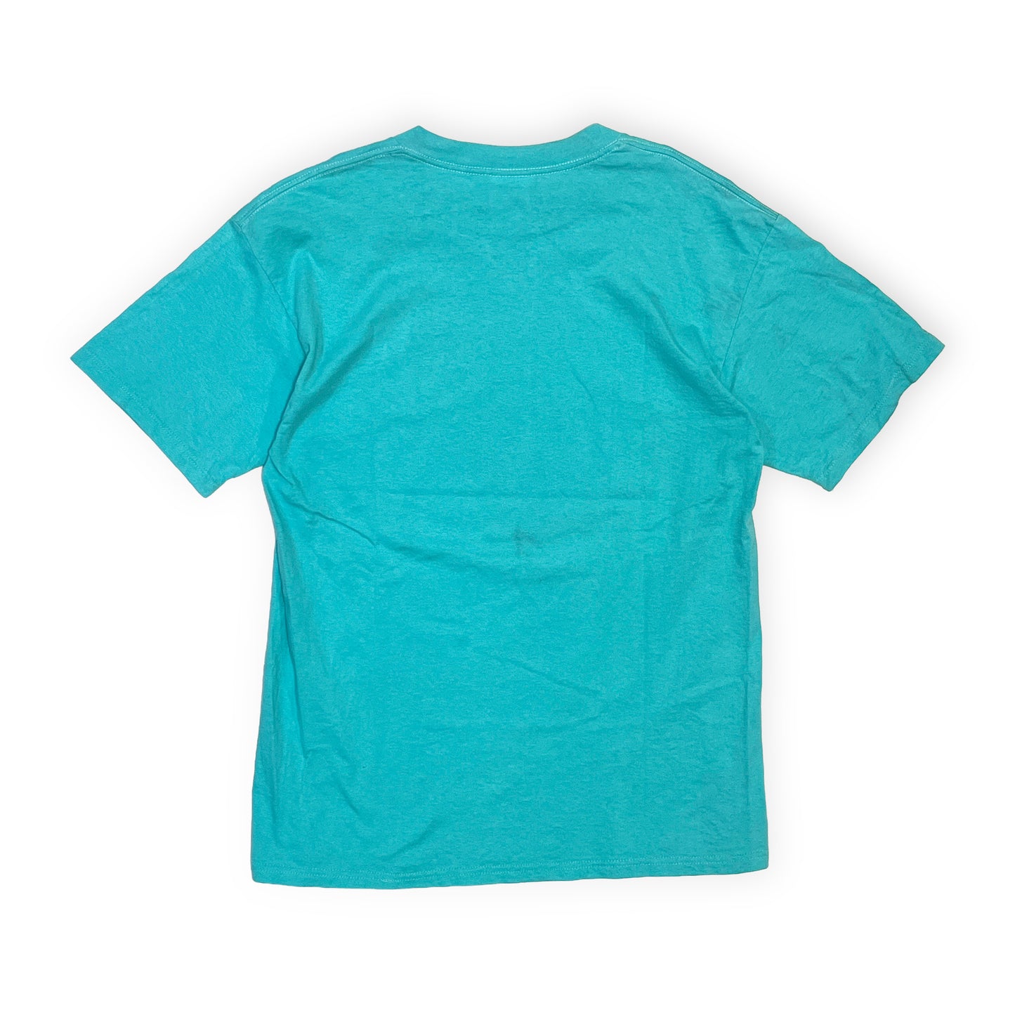 90's GILDAN Blank T ティファニーブルー Size (L) レアカラー！