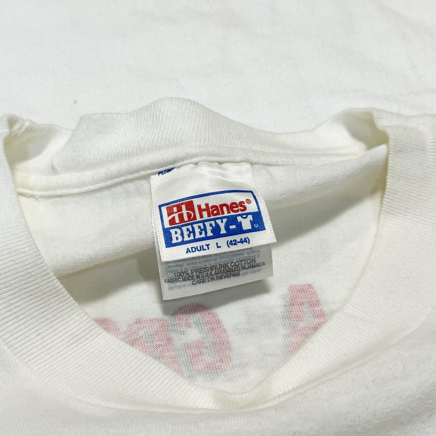 90's Hanes Bandersnatch Pre-Funk Party T Size (L)