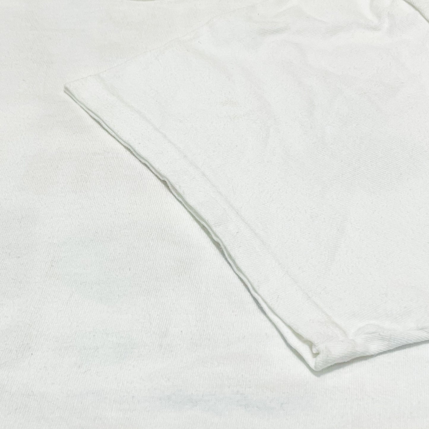 90's Hanes Bandersnatch Pre-Funk Party T Size (L)