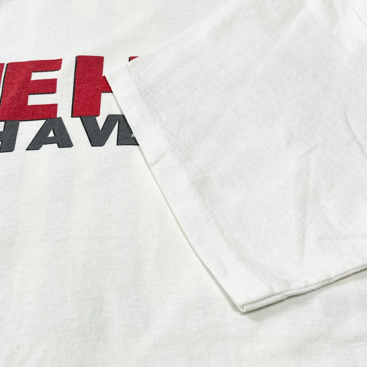 90's ONEITA DIE HARD "WITH A VENGEANCE" T 両面プリント Size (L)