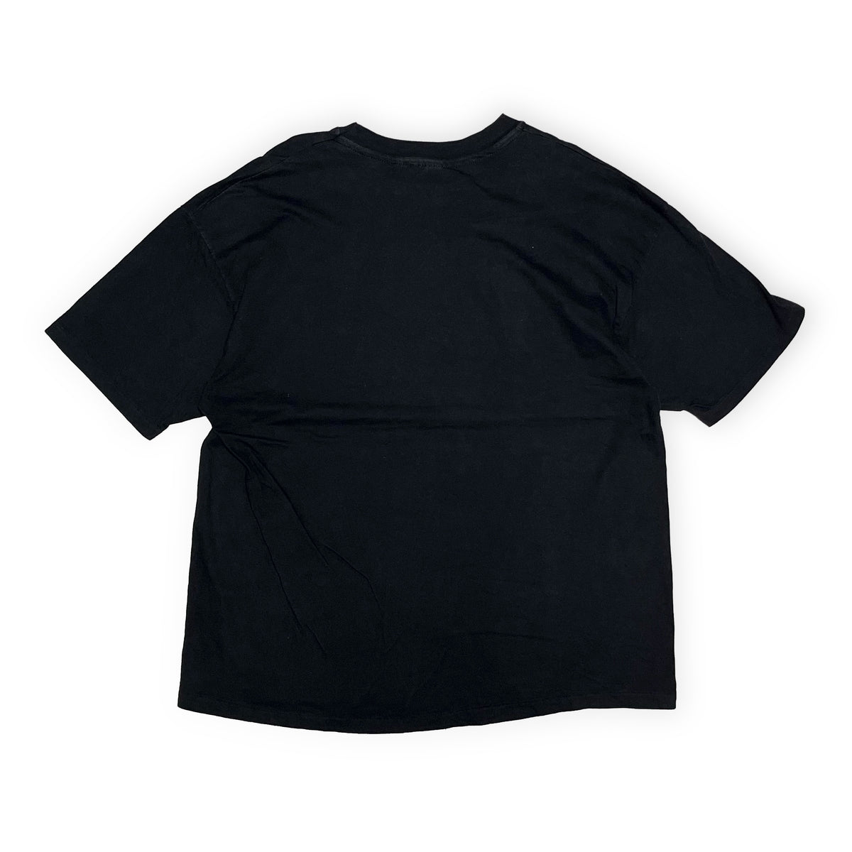 80's〜 Hanes Santa Fe Railway "Super CHIEF" T Size (XXL) ビッグサイズ！