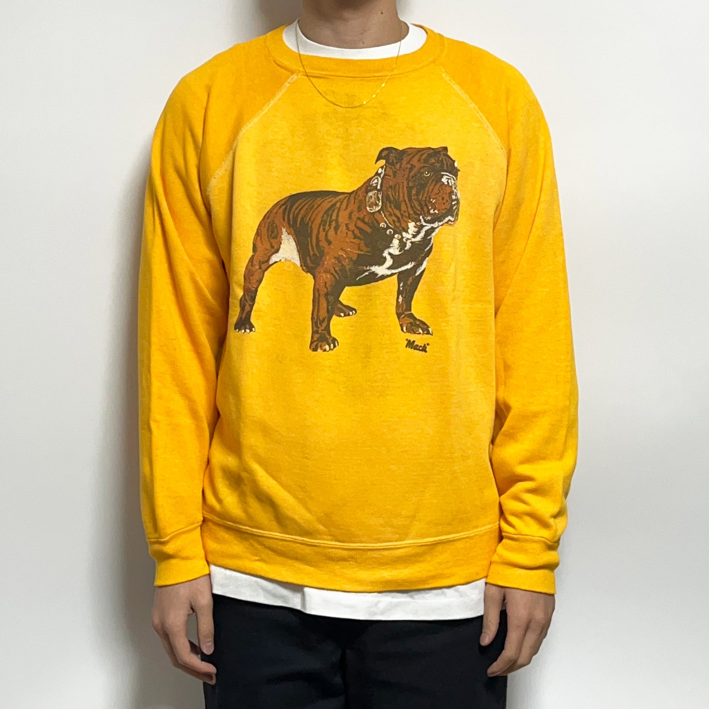 70's〜 UnKnown Bulldog Sweat "Mack Trucks" Size (L)位