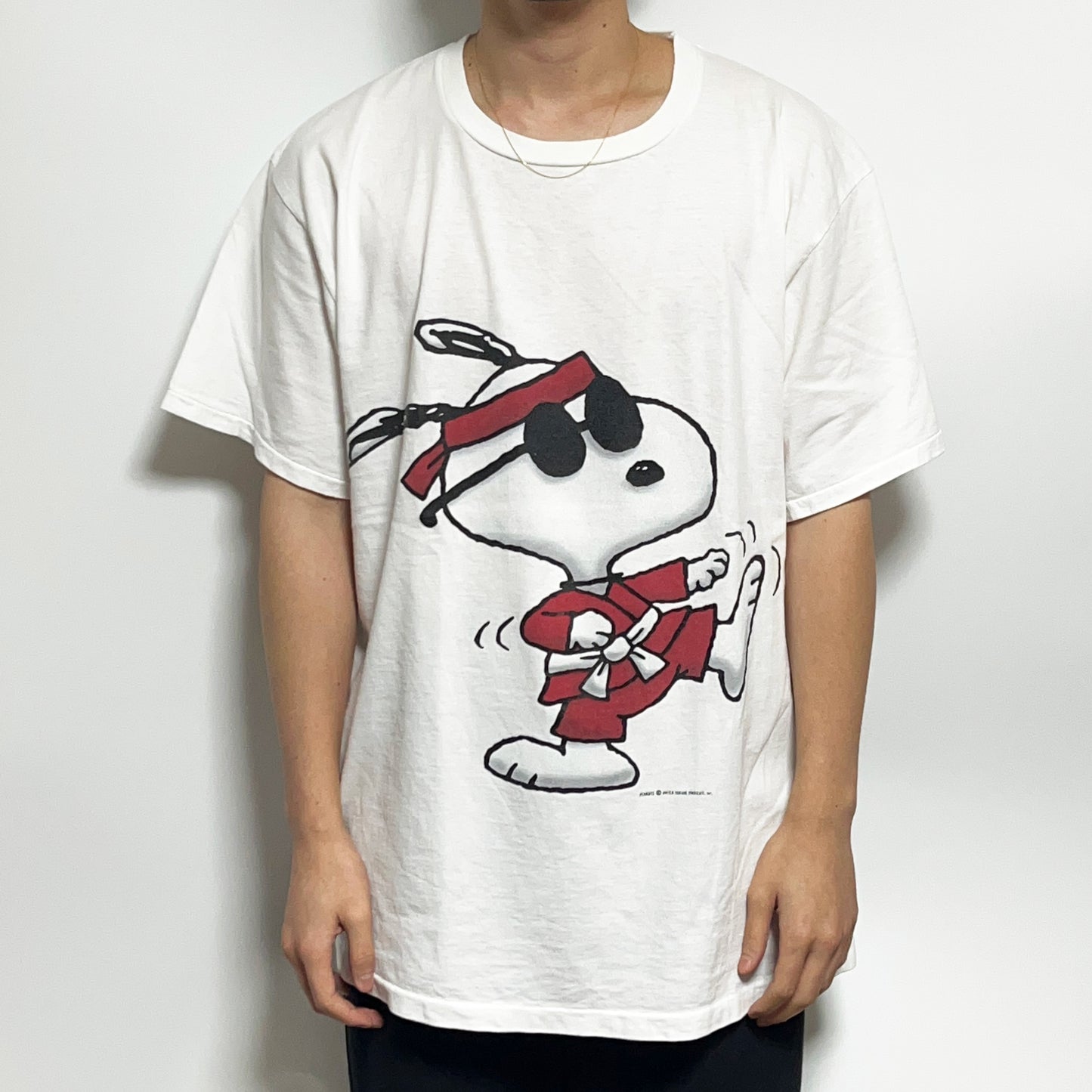 90's IN ADVANCE Snoopy "JOE COOL" T Size (XL)
