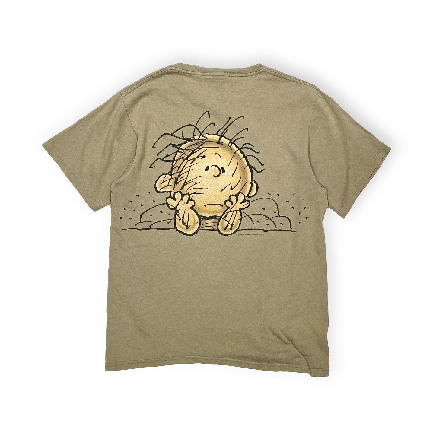 90's Changes PIG PEN T Size (L)