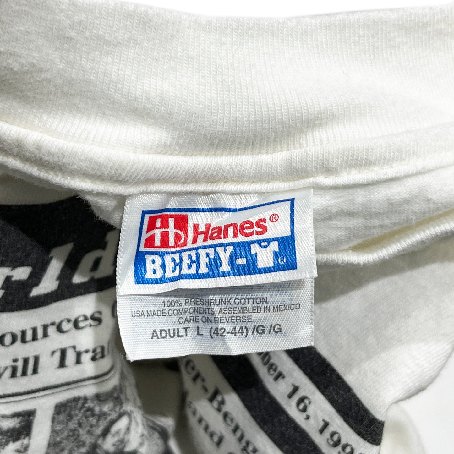 90's〜 Hanes Newspapper T Size (L)